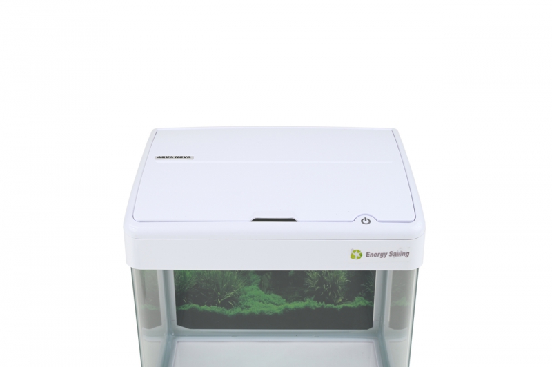 NT-19 WHITE